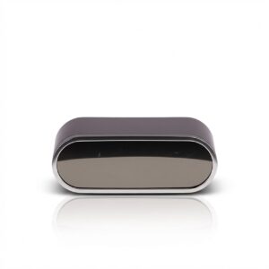 Clock ornament hides camera Wi-Fi Version